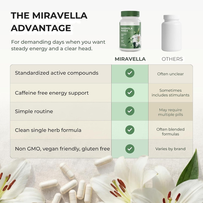 Rhodiola Rosea Extract Capsules