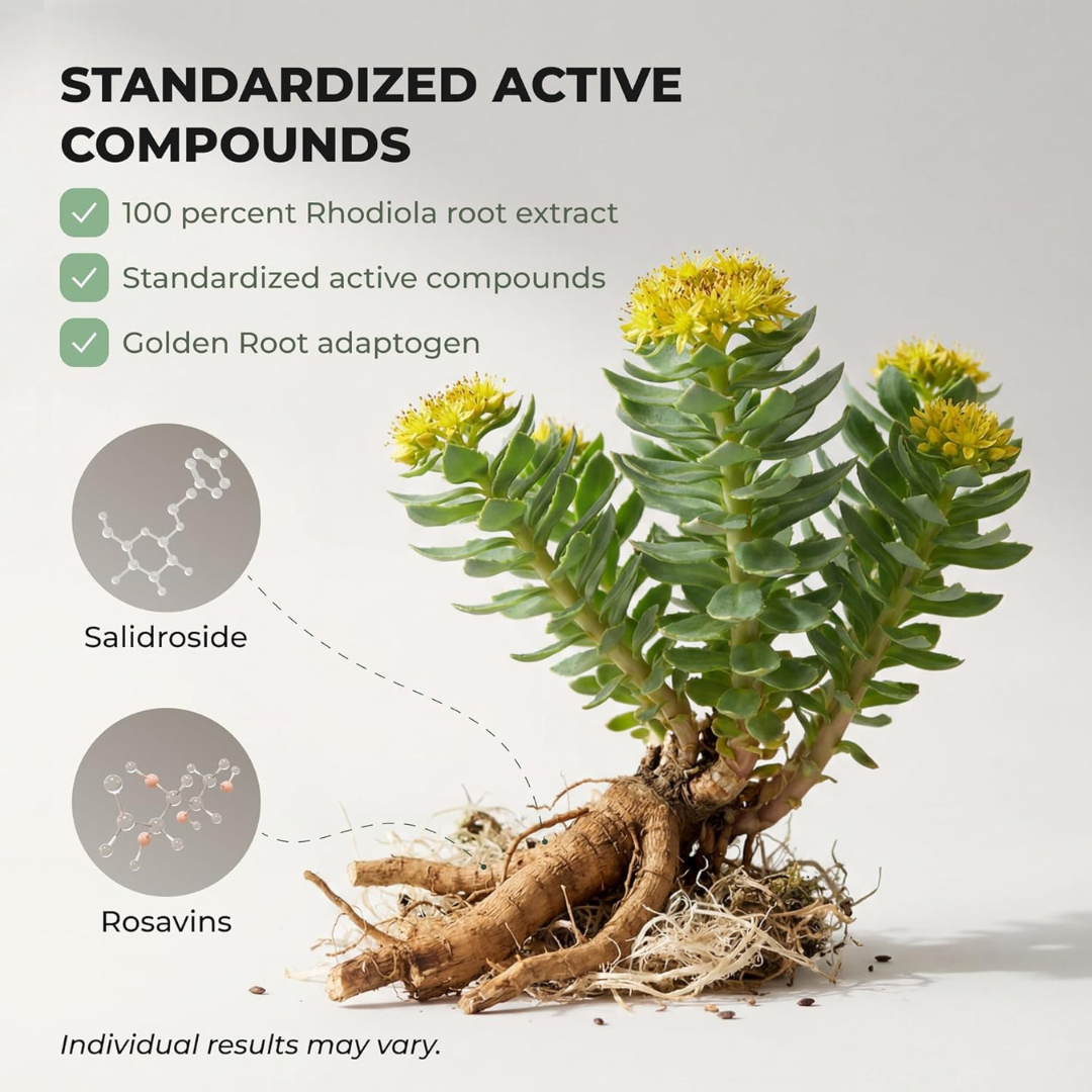 Rhodiola Rosea Extract Capsules