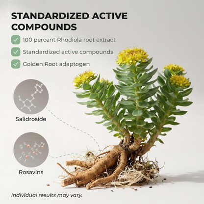 Rhodiola Rosea Extract Capsules